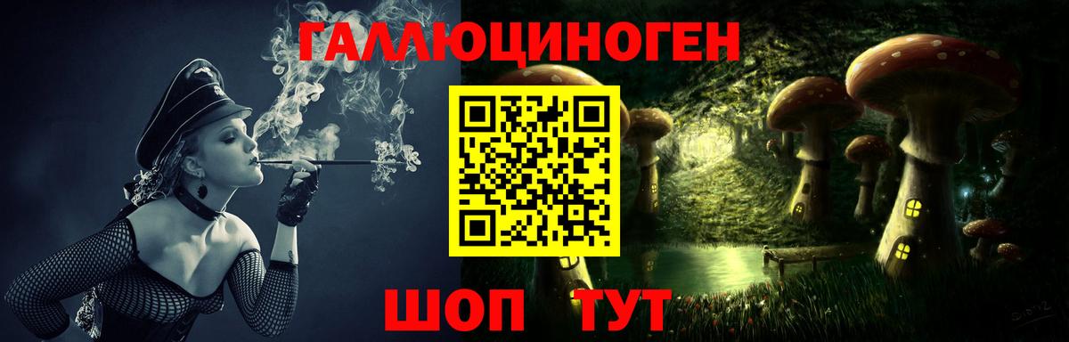 Псилоцибиновые грибы Psilocybe Знаменск