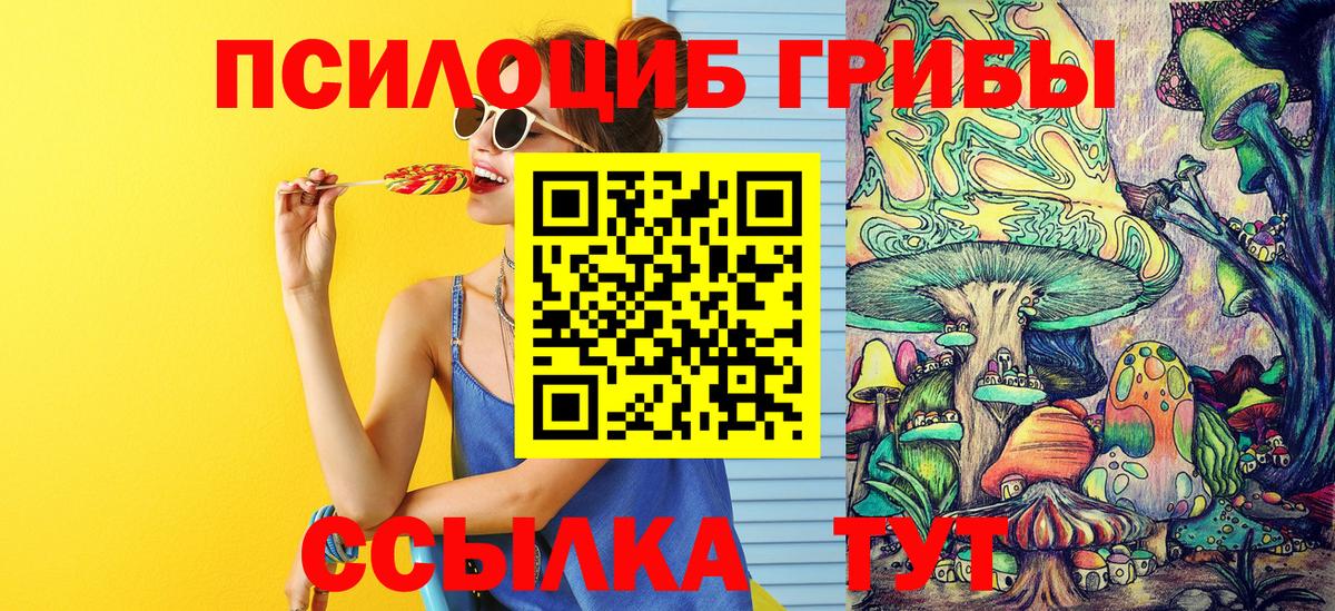 Знаменск  Псилоцибиновые грибы мухоморы  Вход с VPN 